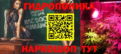 индика Кунгур