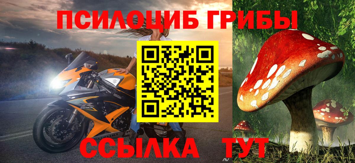 Псилоцибиновые грибы Psilocybine cubensis Чапаевск