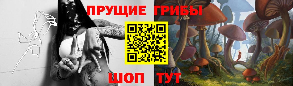 Псилоцибиновые грибы мицелий  Вход с VPN  Чапаевск 